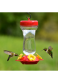 Abreuvoir colibri + nectar